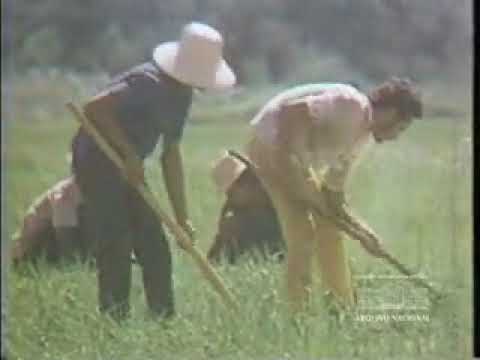 Um passeio pelas potencialidades do Piauí em  1974